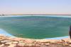 img_8369_t1.jpg