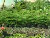 برای دیدن کلیک کنید sam_1143_t1.jpg